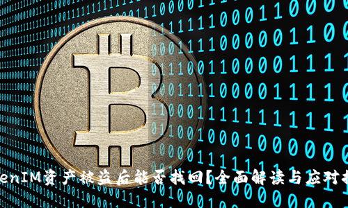 TokenIM资产被盗后能否找回？全面解读与应对措施