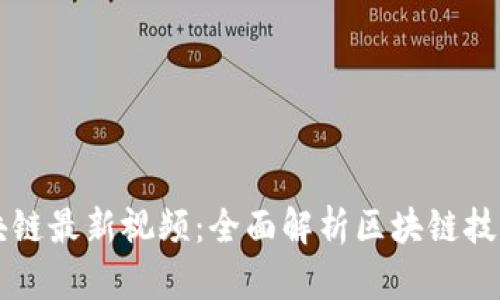 王栋区块链最新视频：全面解析区块链技术与应用