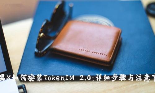 苹果X如何安装TokenIM 2.0：详细步骤与注意事项