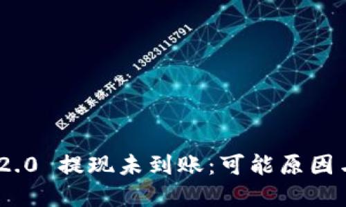 TokenIM 2.0 提现未到账：可能原因与解决方案