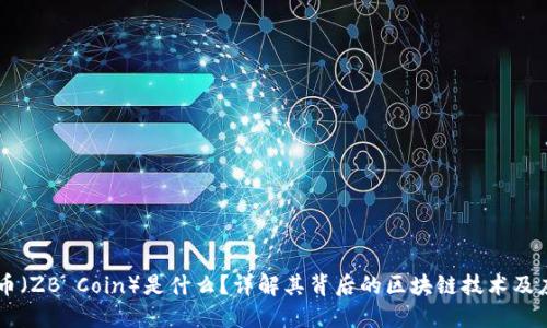 中币（ZB Coin）是什么？详解其背后的区块链技术及应用