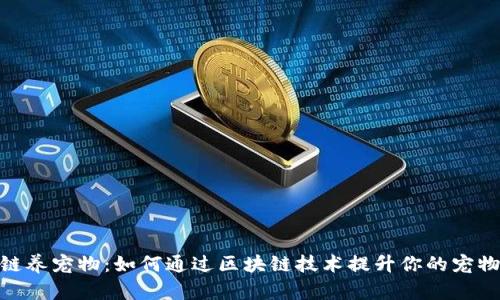 最新区块链养宠物：如何通过区块链技术提升你的宠物养护体验