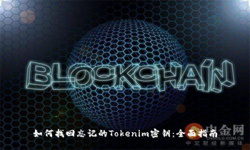 如何找回忘记的Tokenim密钥:全面指南