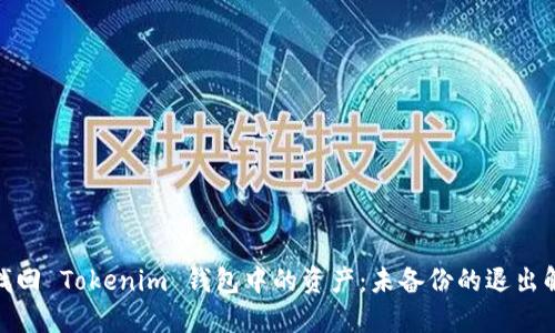 : 如何找回 Tokenim 钱包中的资产：未备份的退出解决方案