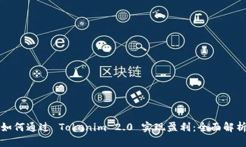 如何通过 Tokenim 2.0 实现盈利:全面解析
