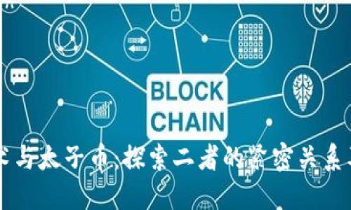 区块链技术与太子币：探索二者的紧密关系及未来潜力