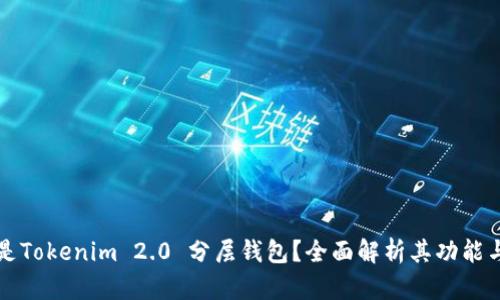 什么是Tokenim 2.0 分层钱包？全面解析其功能与应用