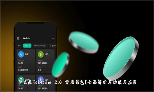 什么是Tokenim 2.0 分层钱包？全面解析其功能与应用