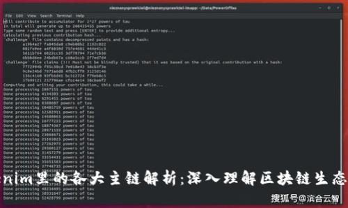 Tokenim里的各大主链解析:深入理解区块链生态系统