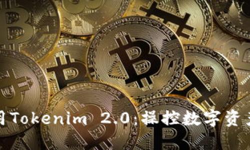 如何在国内使用Tokenim 2.0:操控数字资产的智能新选择