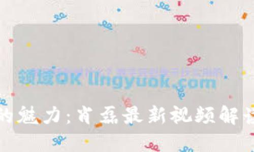 探索区块链的魅力:肖磊最新视频解读和心得分享