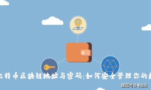 : 揭秘比特币区块链地址与密码:如何安全管理你的数字资产