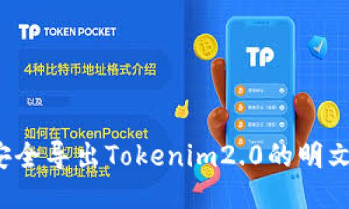 如何安全导出Tokenim2.0的明文私钥?