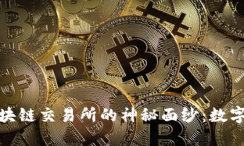 揭开比特币和区块链交易所的神秘面纱:数字货币的未来之路