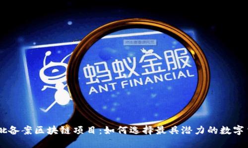 首批备案区块链项目：如何选择最具潜力的数字货币