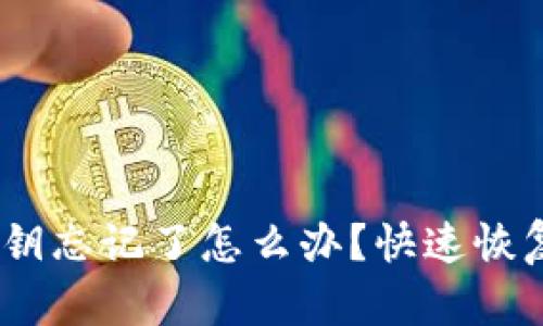 tokenim2.0私钥忘记了怎么办？快速恢复你的数字资产