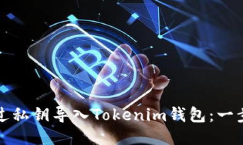 如何通过私钥导入Tokenim钱包:一步步指南