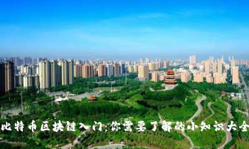 比特币区块链入门：你需要了解的小知识大全