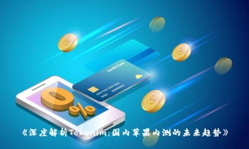 《深度解析Tokenim：国内苹果内测的未来趋势》