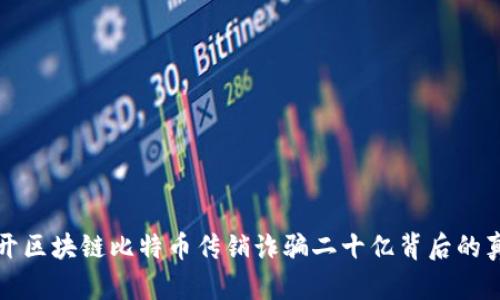 揭开区块链比特币传销诈骗二十亿背后的真相