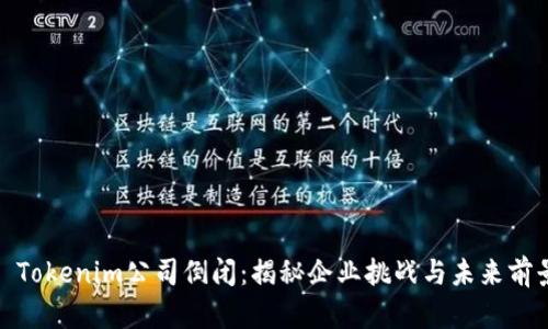 : Tokenim公司倒闭：揭秘企业挑战与未来前景