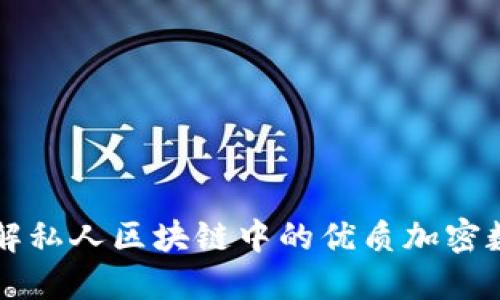 深入了解私人区块链中的优质加密数字资产