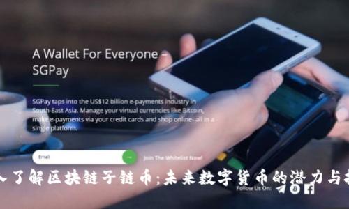 深入了解区块链子链币：未来数字货币的潜力与挑战