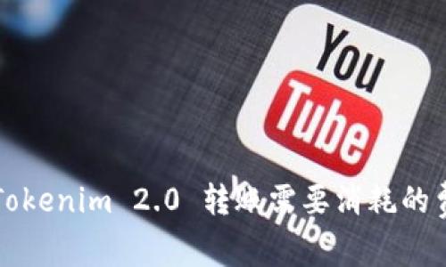 ### Tokenim 2.0 转账需要消耗的费用详解