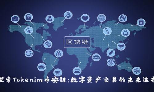 探索Tokenim币安链：数字资产交易的未来选择